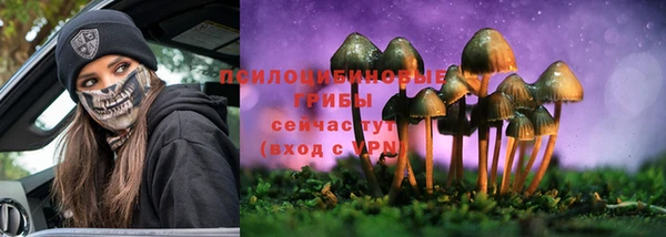 дживик Вязники
