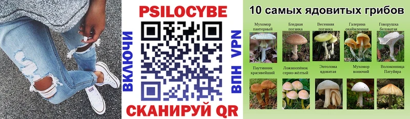 Псилоцибиновые грибы MAGIC MUSHROOMS  гидра онион  Иланский 